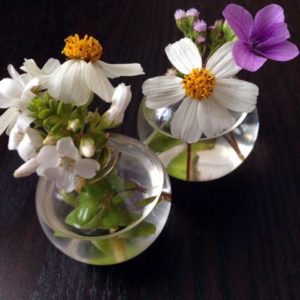花を摘んでおうちで飾る　ハマボッス　タチアワユキセンダングサ　リュウキュウコスミレ　ムラサキカッコウアザミ