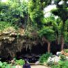 沖縄のジャングルの中にある発掘中のサキタリ遺跡を探検できる　ガンガラーの谷ツアー