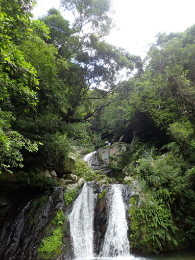 アランガチの滝 奄美大島