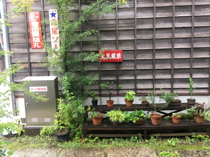 花市生花店の外壁　東京たてもの園