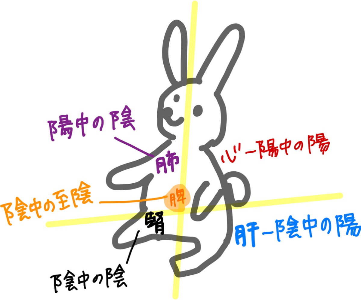 陰と陽体 – 陰陽 読み方 : <薬膳の基本>体質を見よう、陰と陽 – MJLRGX