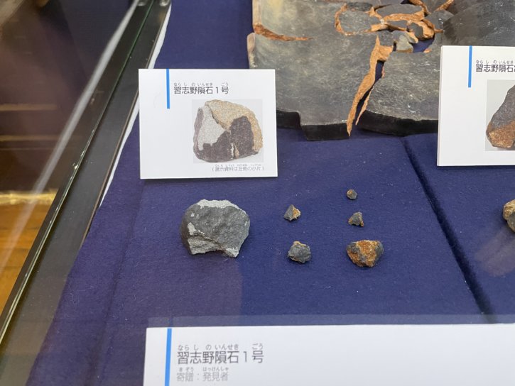 習志野隕石　国立科学博物館